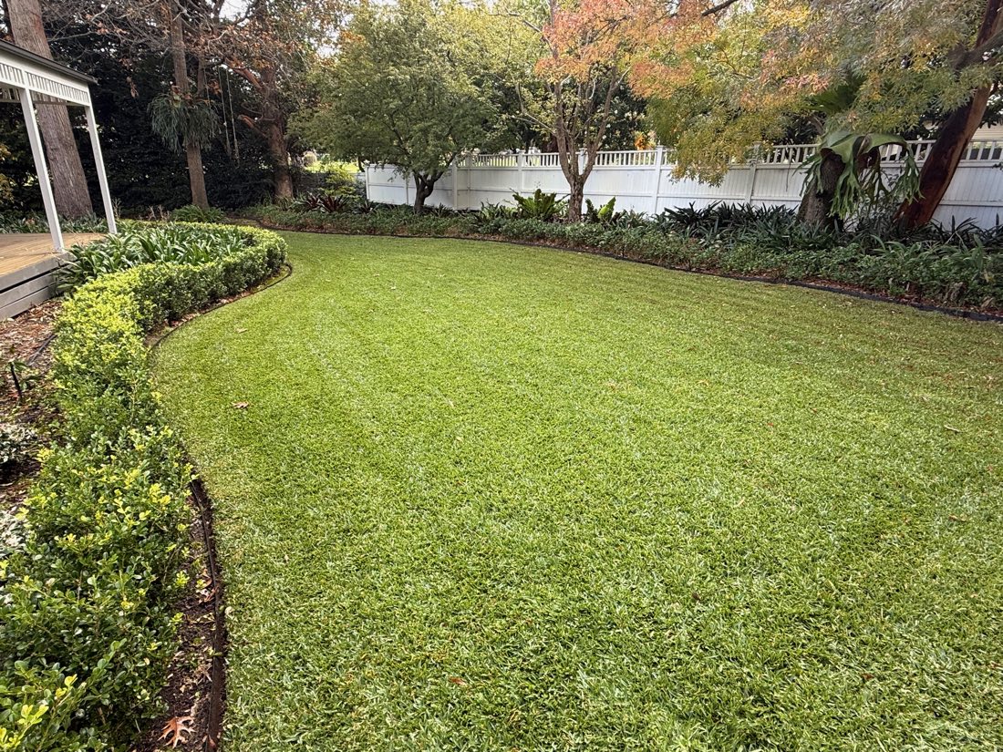Freshly mowed lawn with crisp garden-bed edges